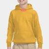 Youth Heavy Blend™ Hooded Sweatshirt Thumbnail